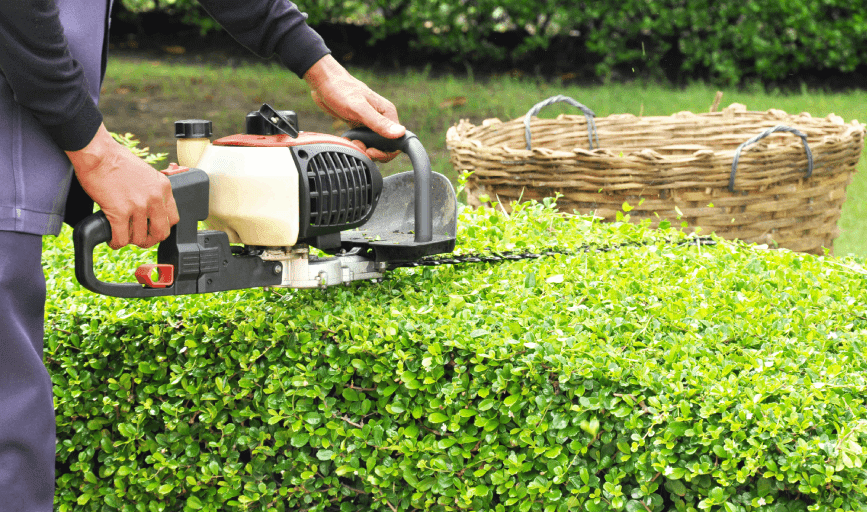 Hedge Trimming
