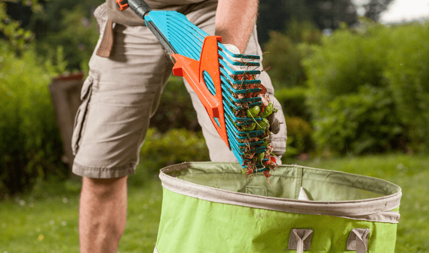 JM Lawns LLC